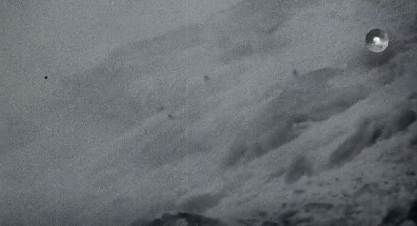 Steve Backshall - Snow Leopards